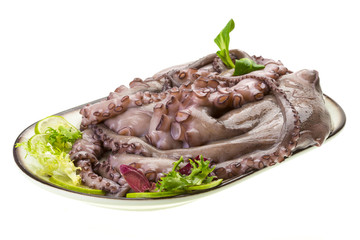 Raw large octopus