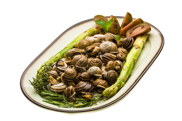 Escargot with asparagus, rosemary, thymus and tomato