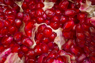 Pomegranate seeds close-up
