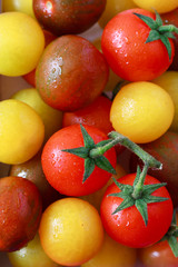 Fototapeta na wymiar Tomatoes.