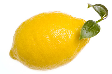 Lemon isolated with leaf