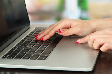 Female hands typing on laptop, on bright background