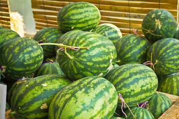 Watermelons from the farm.