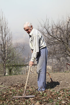 Пожилой мужчина убирает граблями сухие листья  в саду