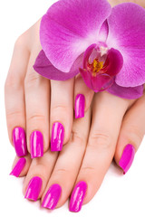 manicure with orchid flower. isolated