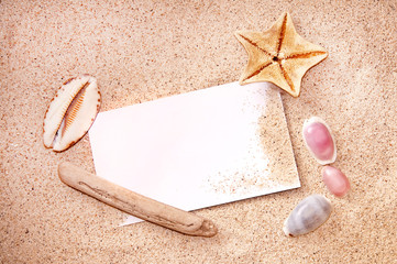 Message vierge avec de l'espace pour du texte, note ou étiquette sur fond de sable et coquillages...