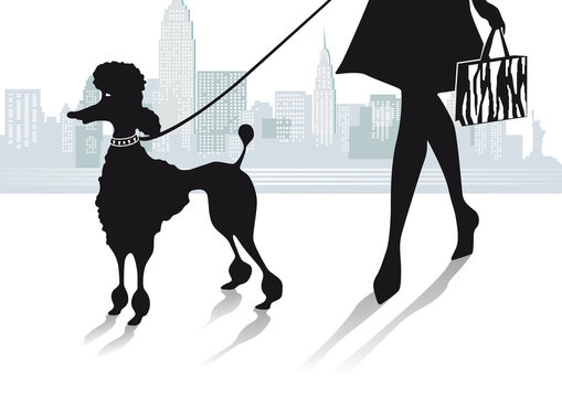 M&auml;dchen mit Pudel in der Stadt