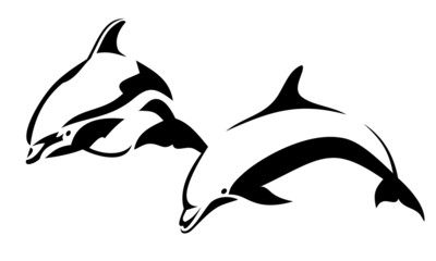 Two dolphins