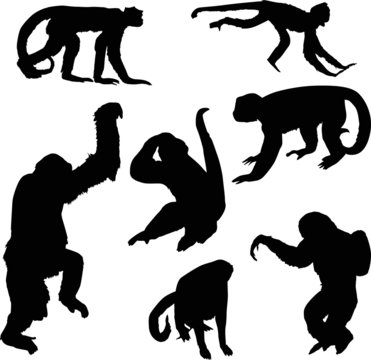 seven black isolated monkey silhouettes