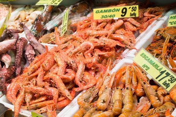 Variety of sea food on market's counter