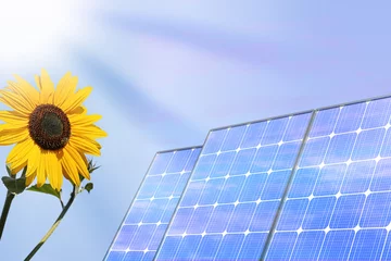 Fotobehang solarzelle 3 Himmel Sonnenblume © markus dehlzeit