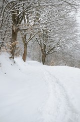 Harz Landschaft Winter