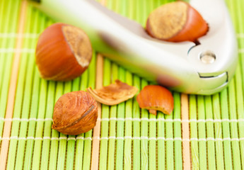 Macro close-up of cracked brown hazelnut on white background.