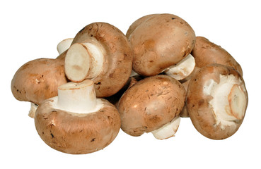 Chestnut Mushrooms Isolated On White