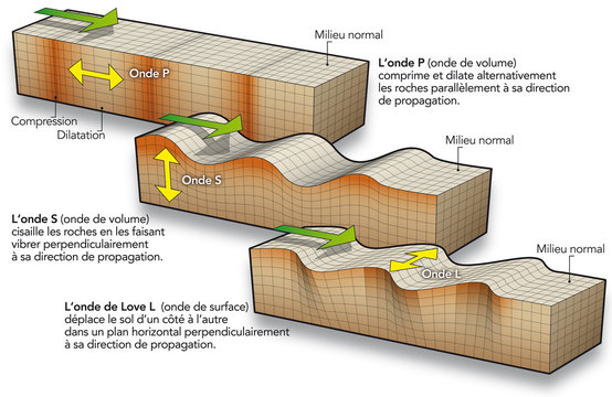 Seismes -  Les différents types d'ondes P, S, L [lég]