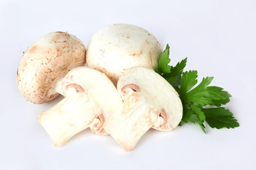 Fresh mushroom