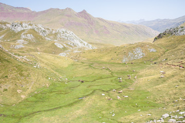 Obraz premium Aguas Tuertas Valley. Spanish Pyrenees