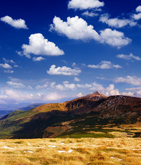 Spring landscape clear day