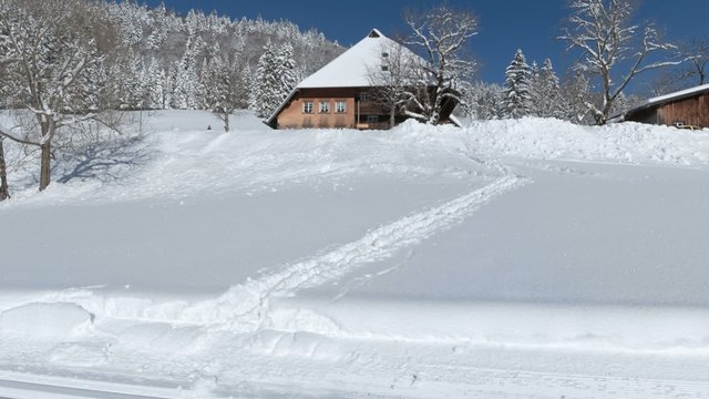 feldberg 360&deg; v1