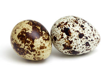 Obraz premium quail eggs isolated on white background
