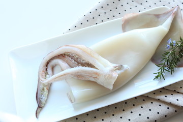 freshness squid from Japan 