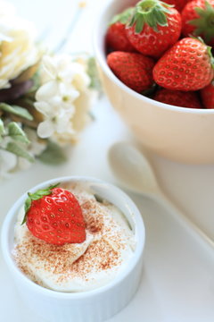strawberry and mousse for gourmet dessert image
