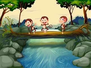 Wall murals River, lake Three monkeys crossing the river
