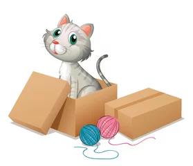 Foto op Canvas Een kat in de doos © GraphicsRF