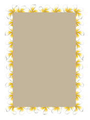 White frangipani flowers frame