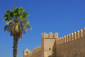 Castle and palm tree in Sousse