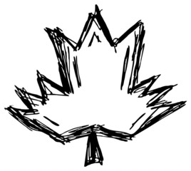 Ahronlaub, Silhouette