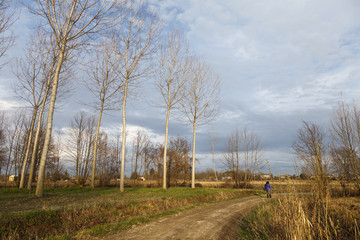 Sentiero nella campagna friulana, Pocenia