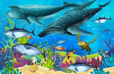 Poster Het koraalrif - illustratie voor de kinderen © honeyflavour