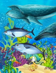 Poster Het koraalrif - illustratie voor de kinderen © honeyflavour