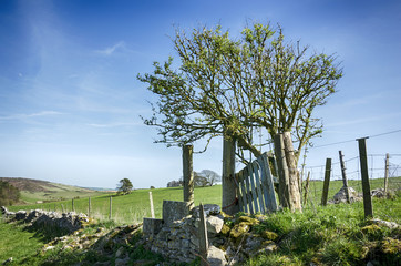 Dorset Countryside