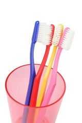 Toothbrushes In Plastic Container