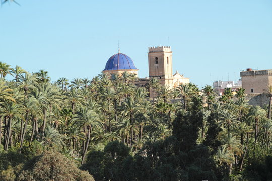 Paisajes de Elche