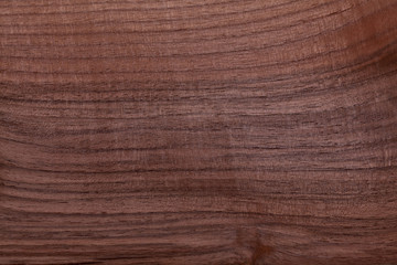 Fototapeta premium wood texture