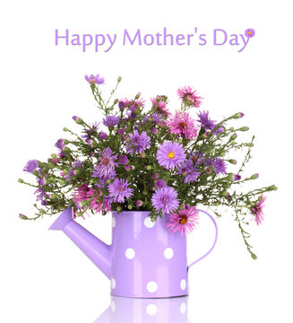 Fototapeta beautiful bouquet of purple flowers in watering can isolated