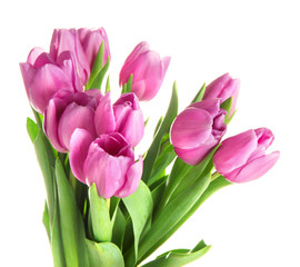 Beautiful bouquet of purple tulips, isolated on white