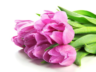 Beautiful bouquet of purple tulips, isolated on white