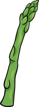 Asparagus Vegetable Cartoon Illustration