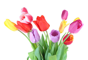 Beautiful tulips in bouquet isolated on white