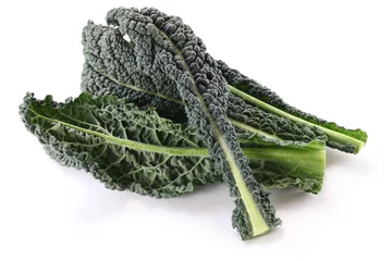 Poster black kale, italian kale © uckyo