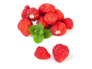 Strawberries_Fragaria vesca