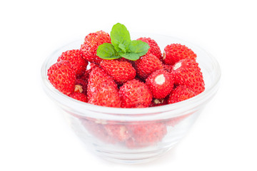 Strawberries_Fragaria vesca