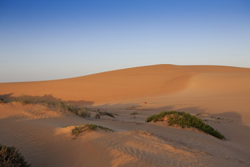 Sand dunes and scrub in the shadows at sunset