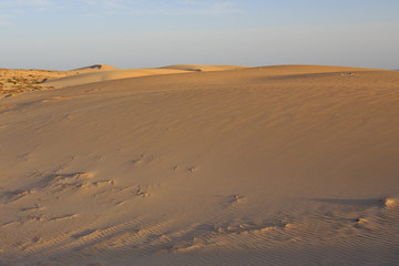 Sand dune and shadows