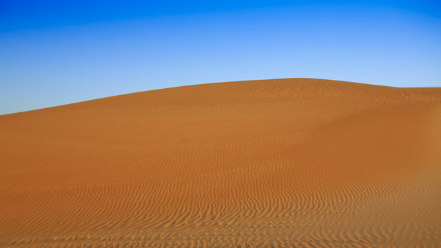 Sand dune © guppyimages