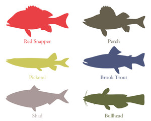 Nordamerikanische Speisefische